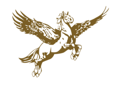 Elite Home Group